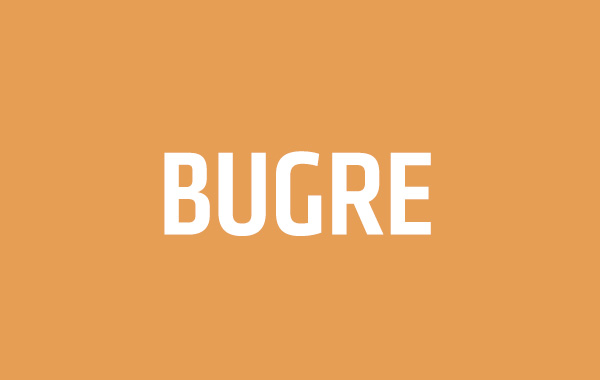 Cidade do Bugre