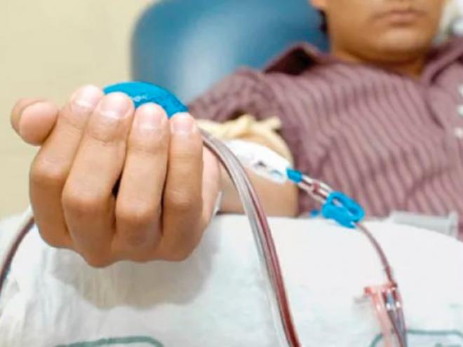 Hemofilia: Quase 13 mil pacientes estão cadastrados no Brasil