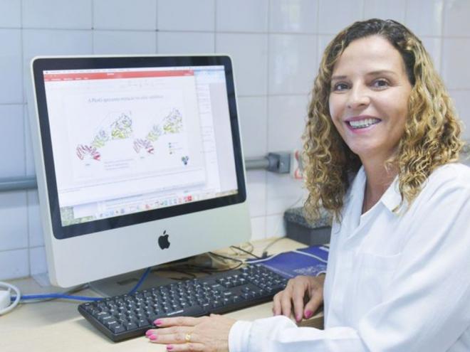 Venenos de vespa e escorpião podem auxiliar tratamento de tuberculose