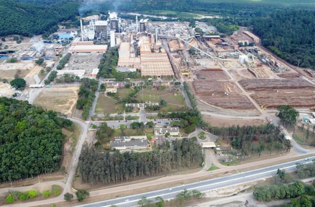 Cenibra será penalizada por crime ambiental
