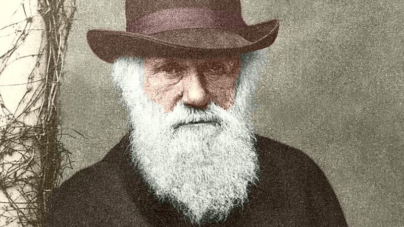 Darwin, Coronavírus e a Seleção Natural das Empresas