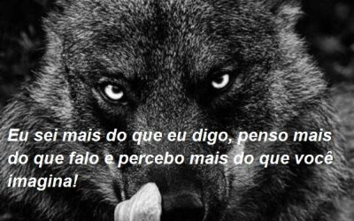 Como se tornar o lobo das vendas