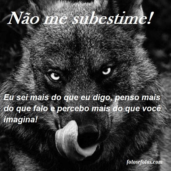 Como se tornar o lobo das vendas