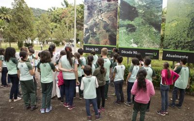 Dia Mundial do Meio Ambiente