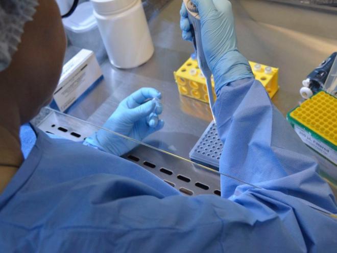 Ministério da Saúde atualiza dados da pandemia: 78.772 brasileiros perdidos para a covid-19