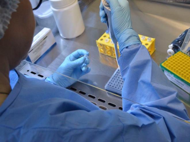 Universidade de Brasília e HUB iniciam teste de vacina contra covid-19