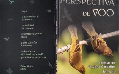 Uma ‘Perspectiva de voo’ natural
