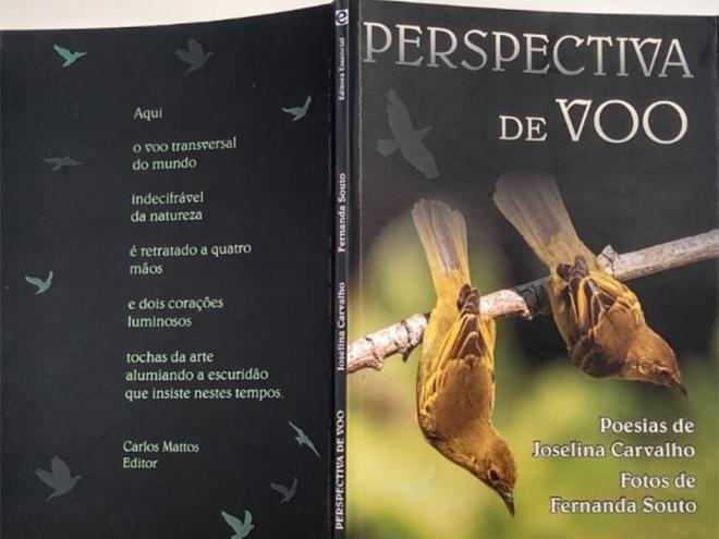 Uma ‘Perspectiva de voo’ natural