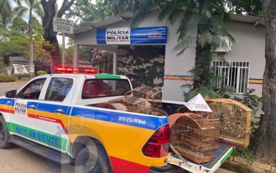 Aves silvestres criadas irregularmente são apreendidas em Santana do Paraíso